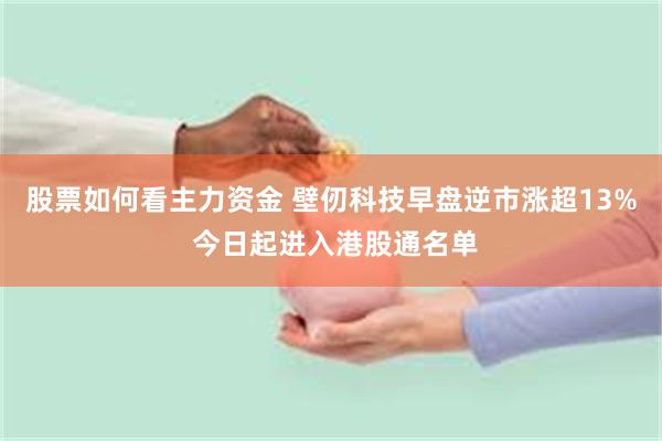 股票如何看主力资金 壁仞科技早盘逆市涨超13% 今日起进入港股通名单