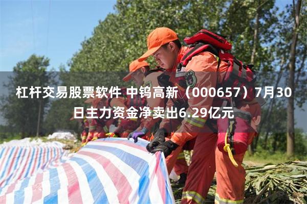 杠杆交易股票软件 中钨高新（000657）7月30日主力资金净卖出6.29亿元
