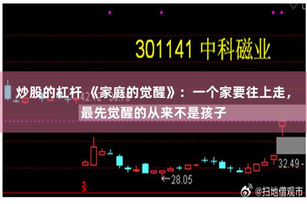 炒股的杠杆 《家庭的觉醒》：一个家要往上走，最先觉醒的从来不是孩子